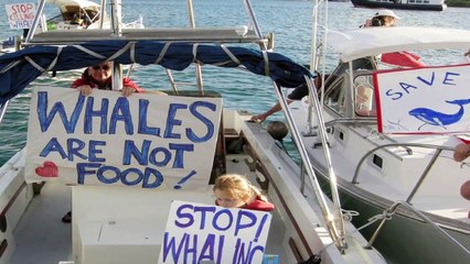 Where the Whales Sing-Chapter 8.mov