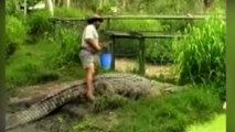 Queensland ‘Barefoot Bushman’ keeps dozens of deadly reptiles on his farm