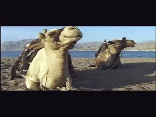"Camels in the desert" from National Geographic, music by Tal Babitzky