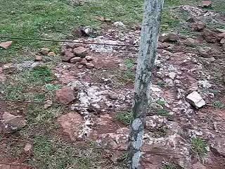 Tierra de Nadie