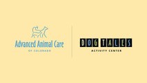 Advanced Animal Care of Colorado - Short | Fort Collins, CO