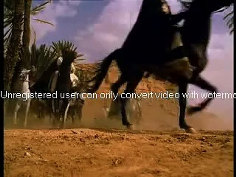APOSTOL PABLO CAE DEL CABALLO