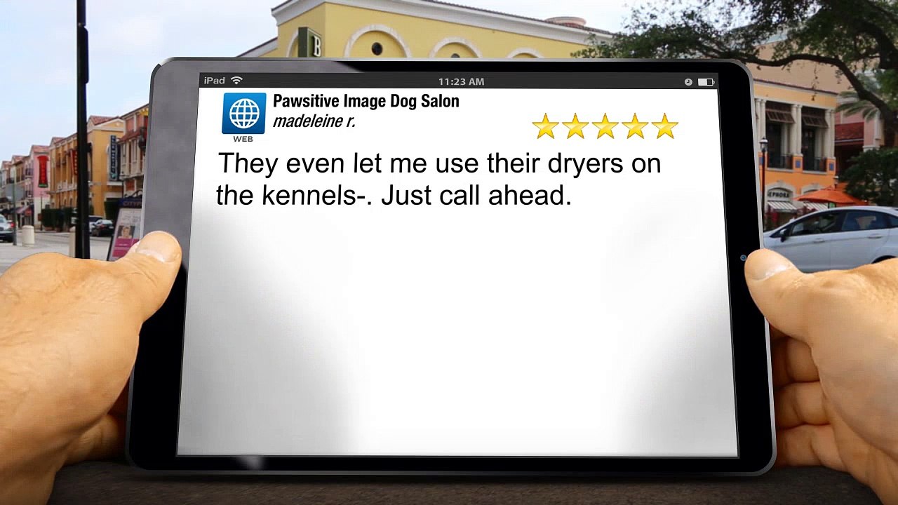Pawsitive Image Dog Salon  Superb 5 Star Review by madeleine r.