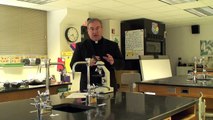 Fr. Mike McGovern on the Catholic Church's Teaching on Stem Cell Research