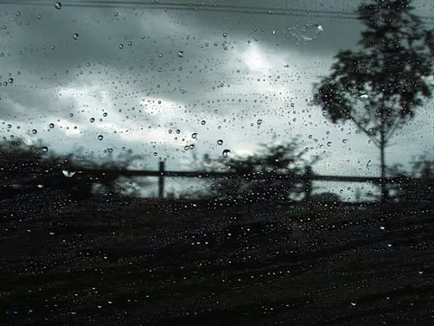 LADY PANK - ZNOWU PADA DESZCZ