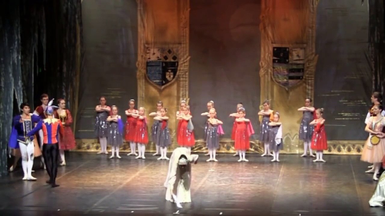 Schwanensee Ballett