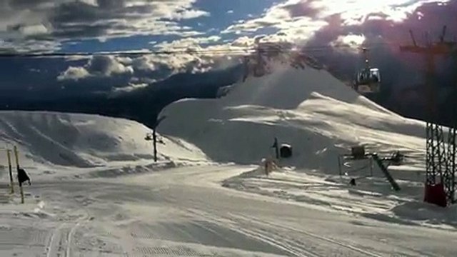 Snowboard with a Dog - Labrador Chocolate - in Crans Montana, Switzerland
