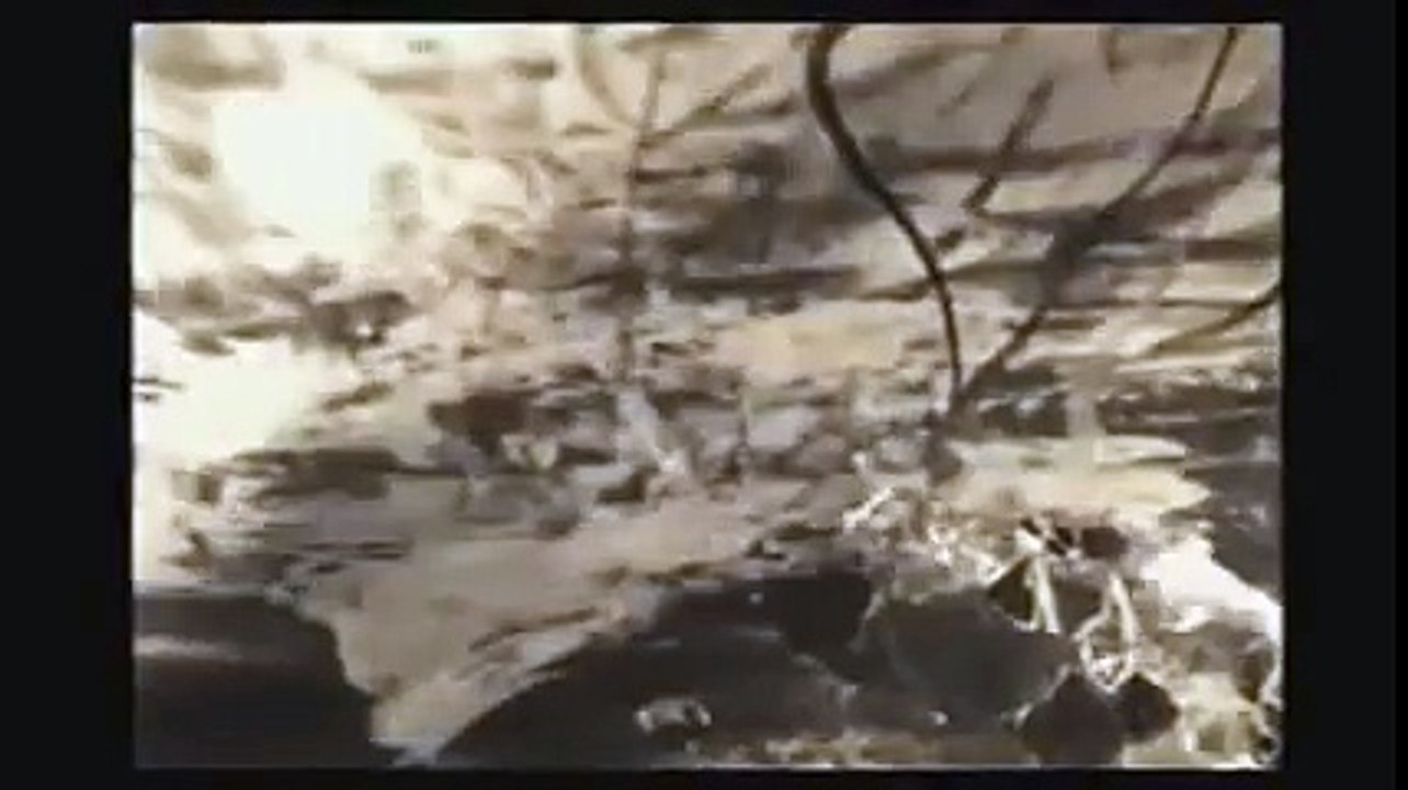 Creepy video from the deep web