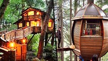 Top 6 Tree Houses Around The World!!