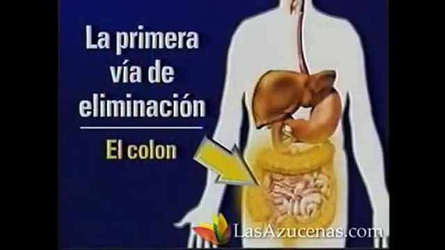 Remedio para el estreñimiento y la colitis. Inflamación del intestino. Colon irritable