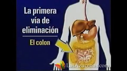 Remedio para el estreñimiento y la colitis. Inflamación del intestino. Colon irritable