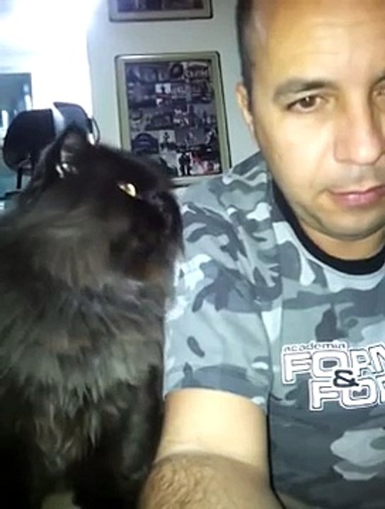 Cat Demands More Petting!