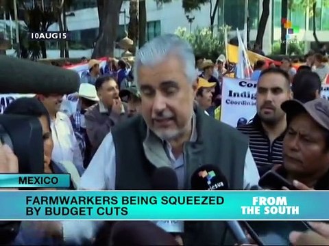 Mexico: Cuts in Rural Subsidies Hurt Small Producers