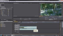 Rolling Titles in Adobe Premiere Pro