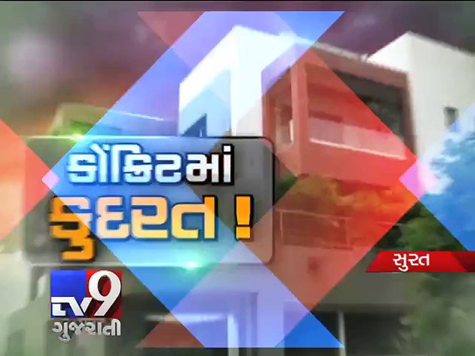 Sanjay Ramani, winner of 'BEST HOME' award brings nature inside bungalow, Surat - Tv9