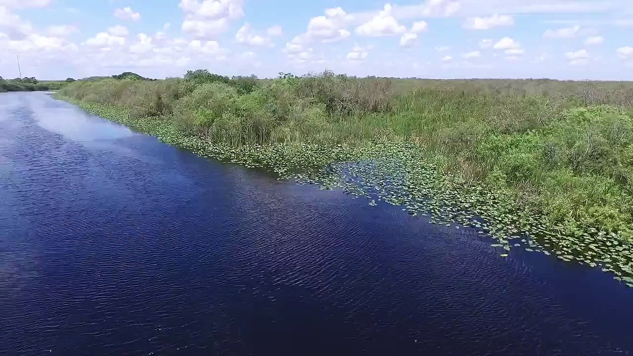 Florida Everglades from a Drone's view point