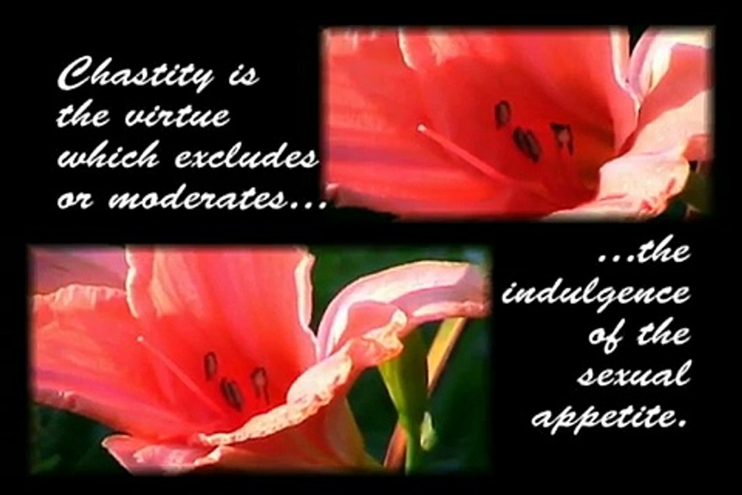 What Is Chastity?