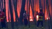 Firefighters tackle forest fires in Portugal