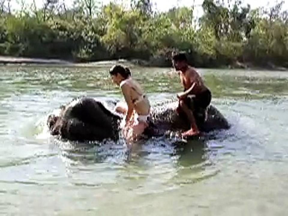 Elephant riding showering in Nepal