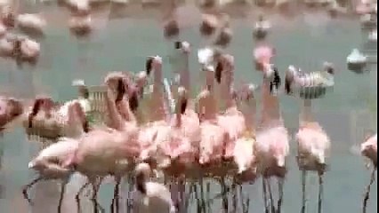 Suche nach Gerti alle Teile