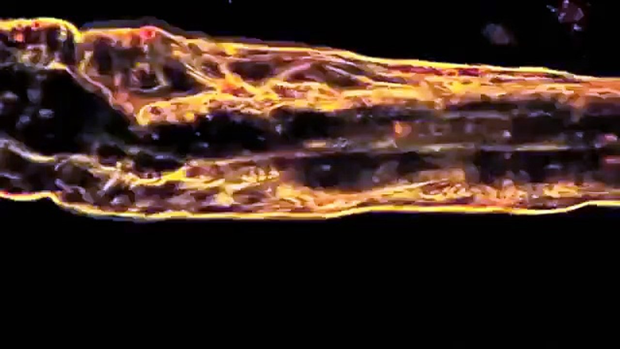 Nightwish - The Greatest Show On Earth (Alternative Music Video)