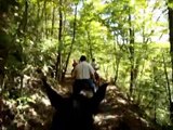 Riding gaited horses at Big South Fork, Kentucky