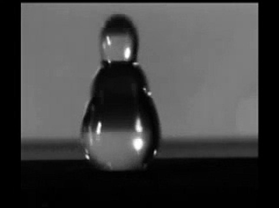 Droplet impact dynamics on a nanoflower surface