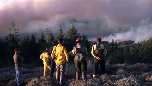 Des centaines de pompiers mobilisés pour lutter conte les incendies au Portugal