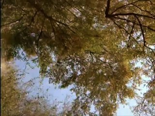 Nicu Wagner - Opreste Doamne incercarea