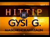 Gregor Gysi  Maschendrahtzaun
