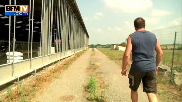 La sécheresse inquiète fortement les éleveurs