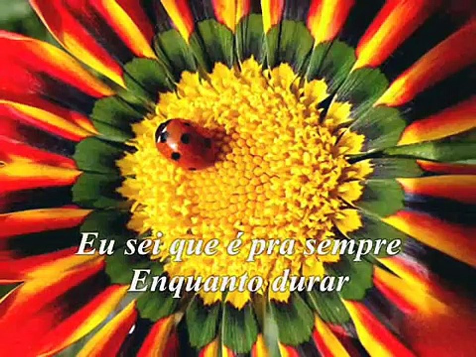 Titãs - Porque eu sei que é amor (Legendado PT-BR)