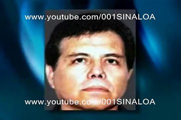 Quien Es El Mayo Zambada? (reportaje y corrido)