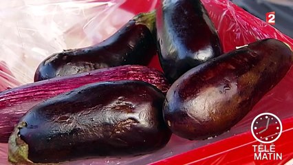 L'Union européenne gaspille 22 millions de tonnes de nourriture chaque année