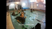 PADI Scuba Diving Learn to Scuba Dive Today