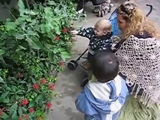 butterflies "There you are!"