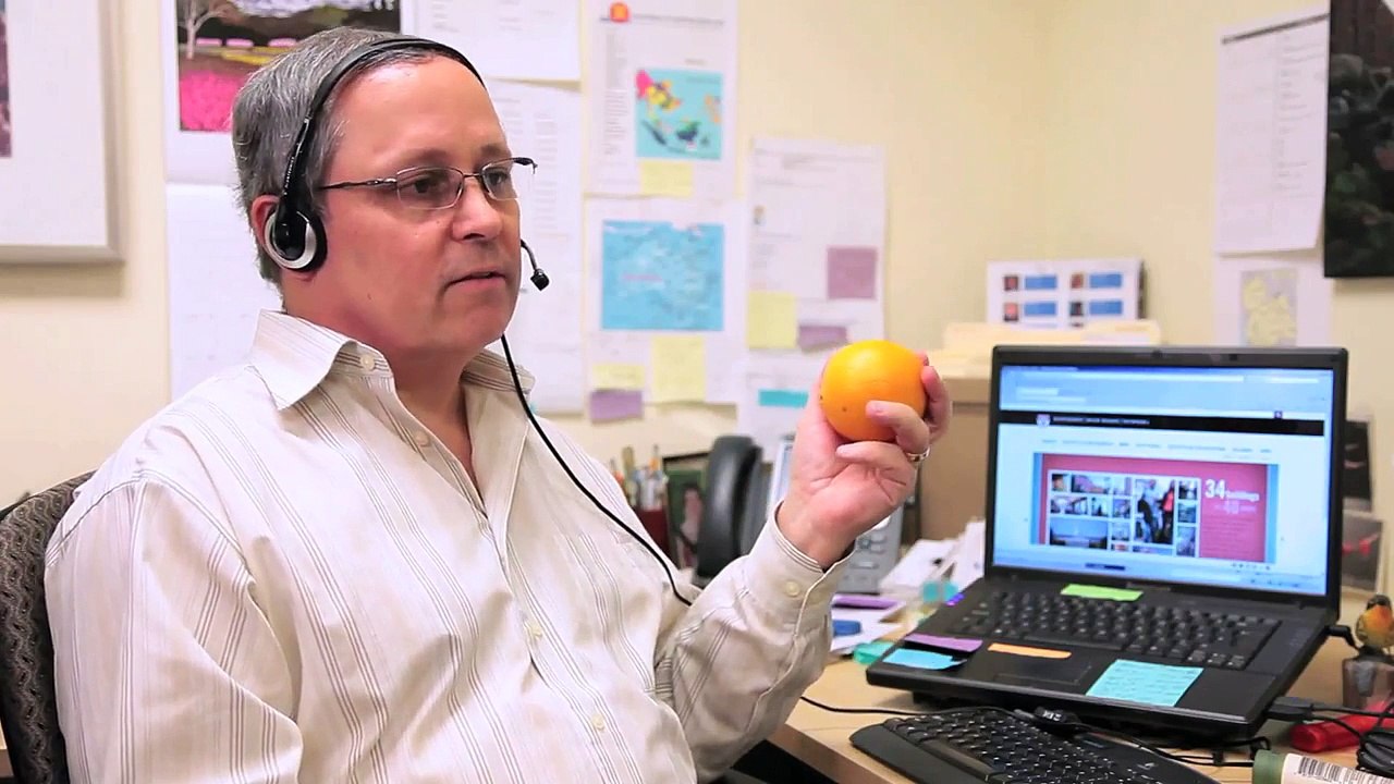 Shit MBA Admissions Consultants Say