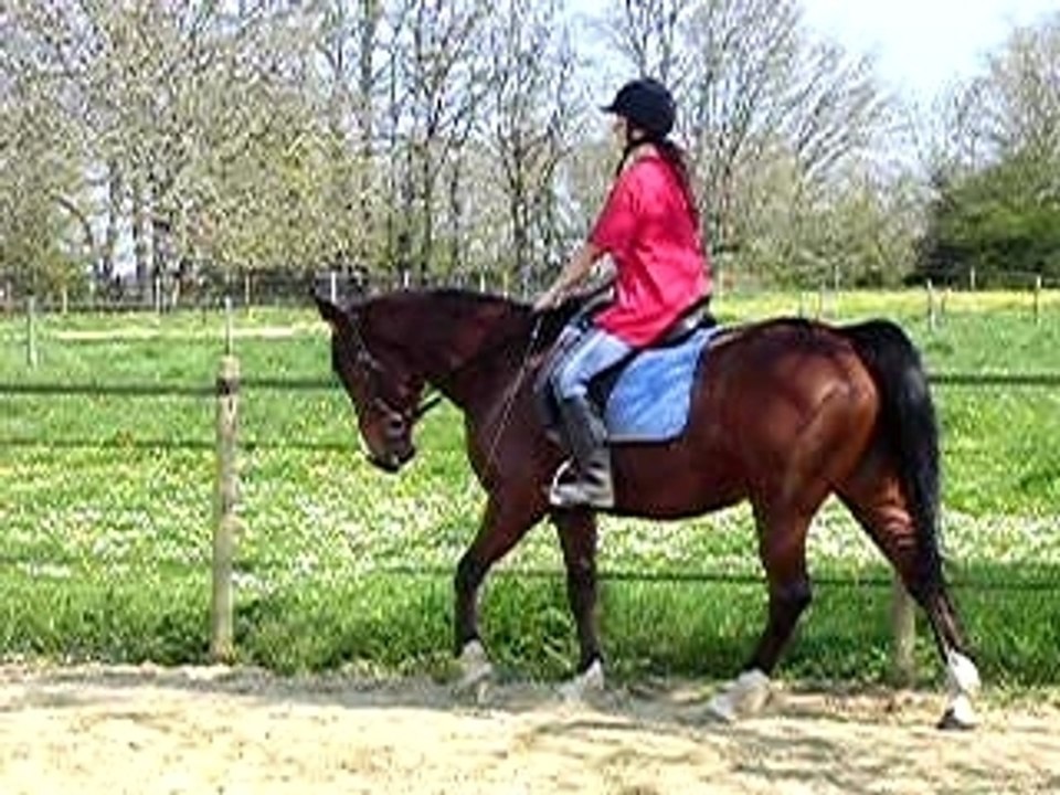 DSCN4144
