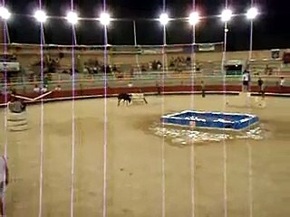 Taureau Piscine en sac