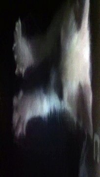 The most stereotypical cat streching