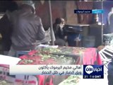 أخبار الآن - أهالي مخيم اليرموك يأكلون ورق الصبار في ظل الحصار