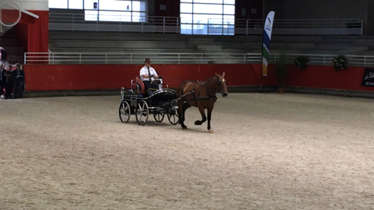 Les cobs normands défilent au NHS