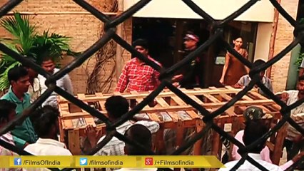 Amitabh Bachchan's Plea To Save Tigers!