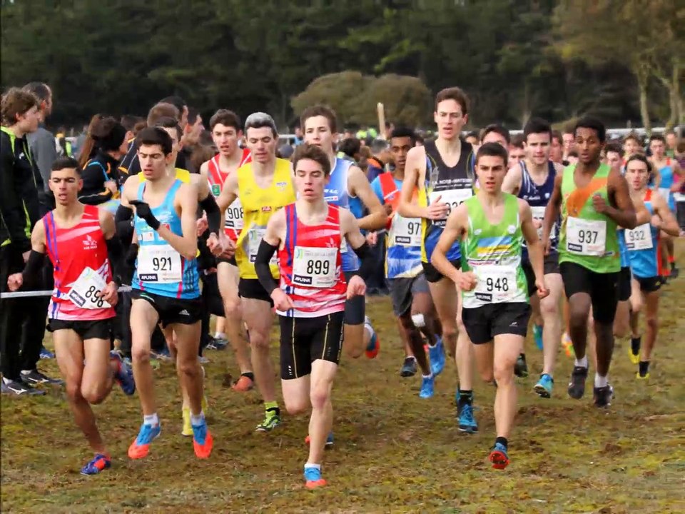 saison _2014_2015_DM