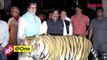 Amitabh Bachchan holds a press conference for Maharashtra's Tiger Conservation Project - Bollywood News