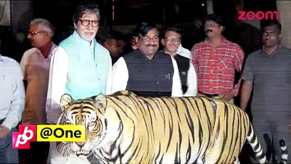 Amitabh Bachchan holds a press conference for Maharashtra's Tiger Conservation Project - Bollywood News