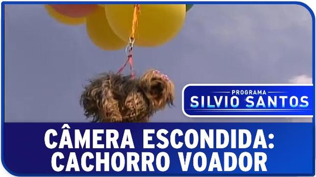 Câmera Escondida: Cachorro Voador