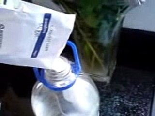 how to make hooch (prison alchole)