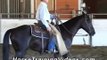 Cueing A Horse For Reining Turns And Spins, part 2