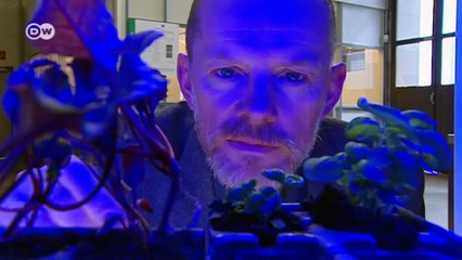 Urban Agriculture: Food grown in the city | Made in Germany